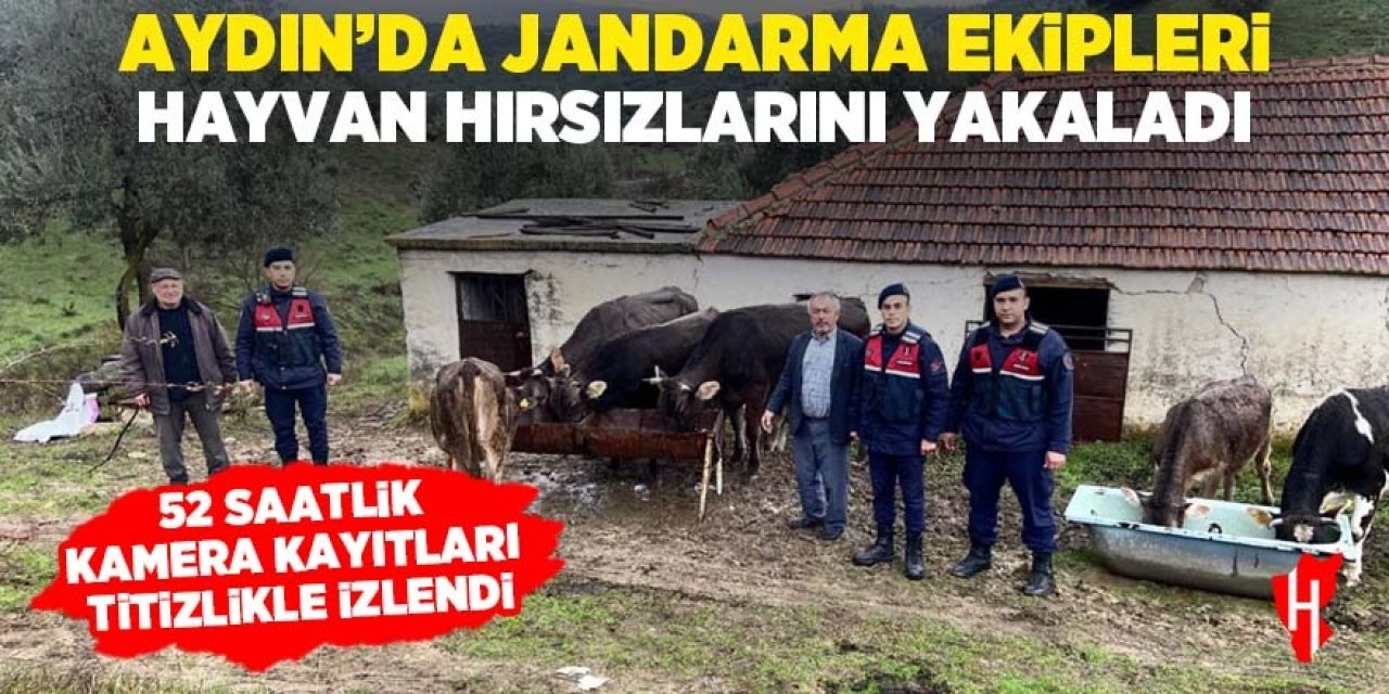 Aydın'da jandarma ekipleri hayvan hırsızlarını yakaladı