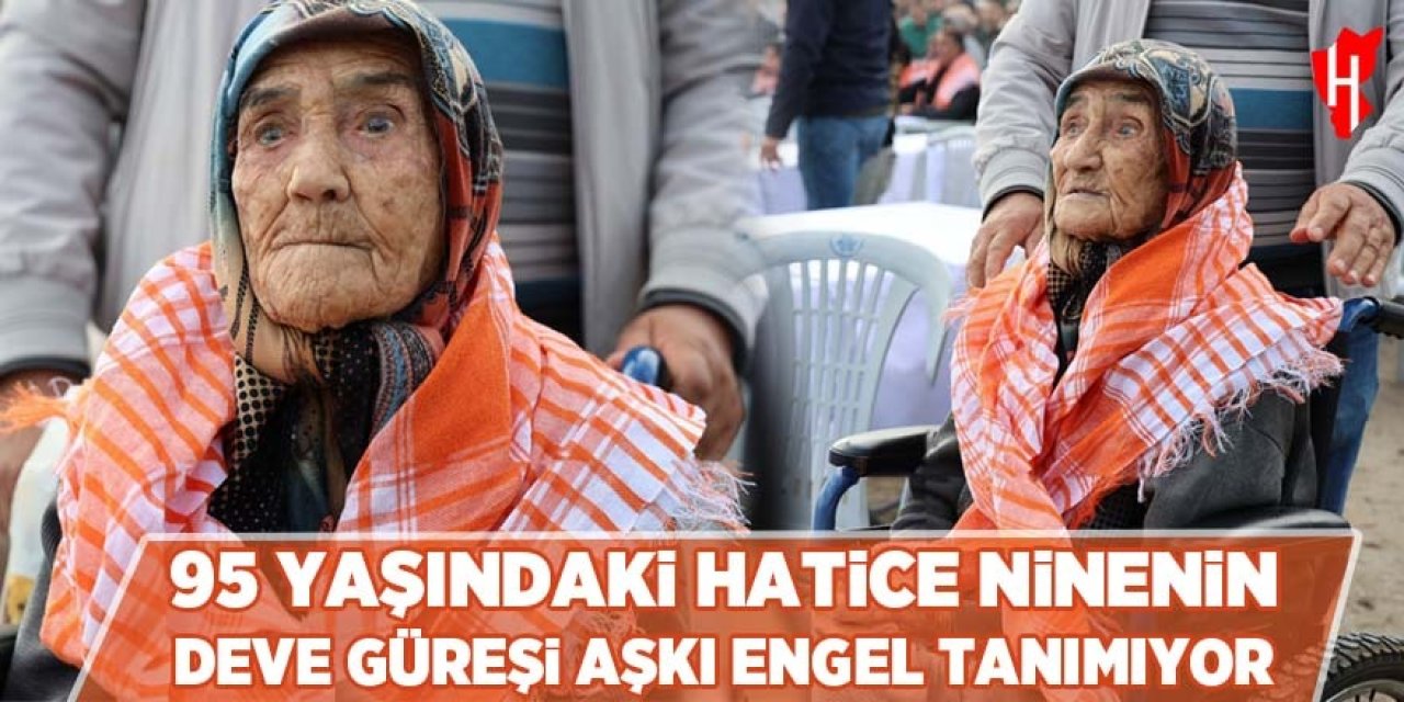 95 yaşındaki Hatice ninenin deve güreşi aşkı engel tanımıyor