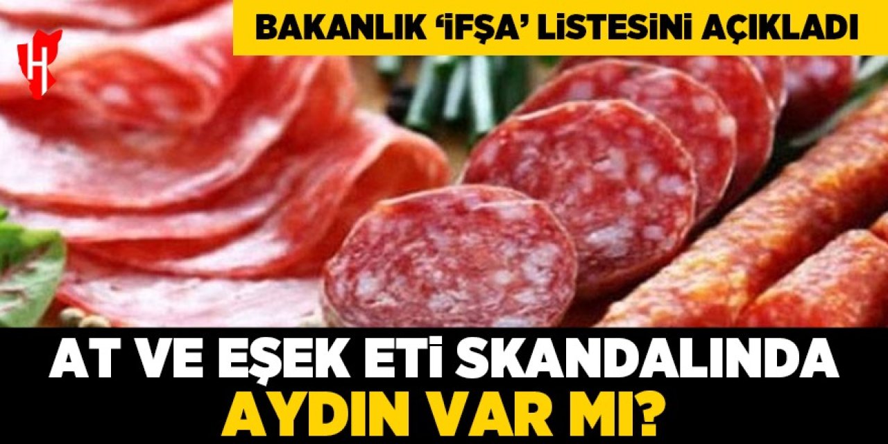 Bakanlık ifşa listesini açıkladı: At ve eşek eti skandalında Aydın var mı?