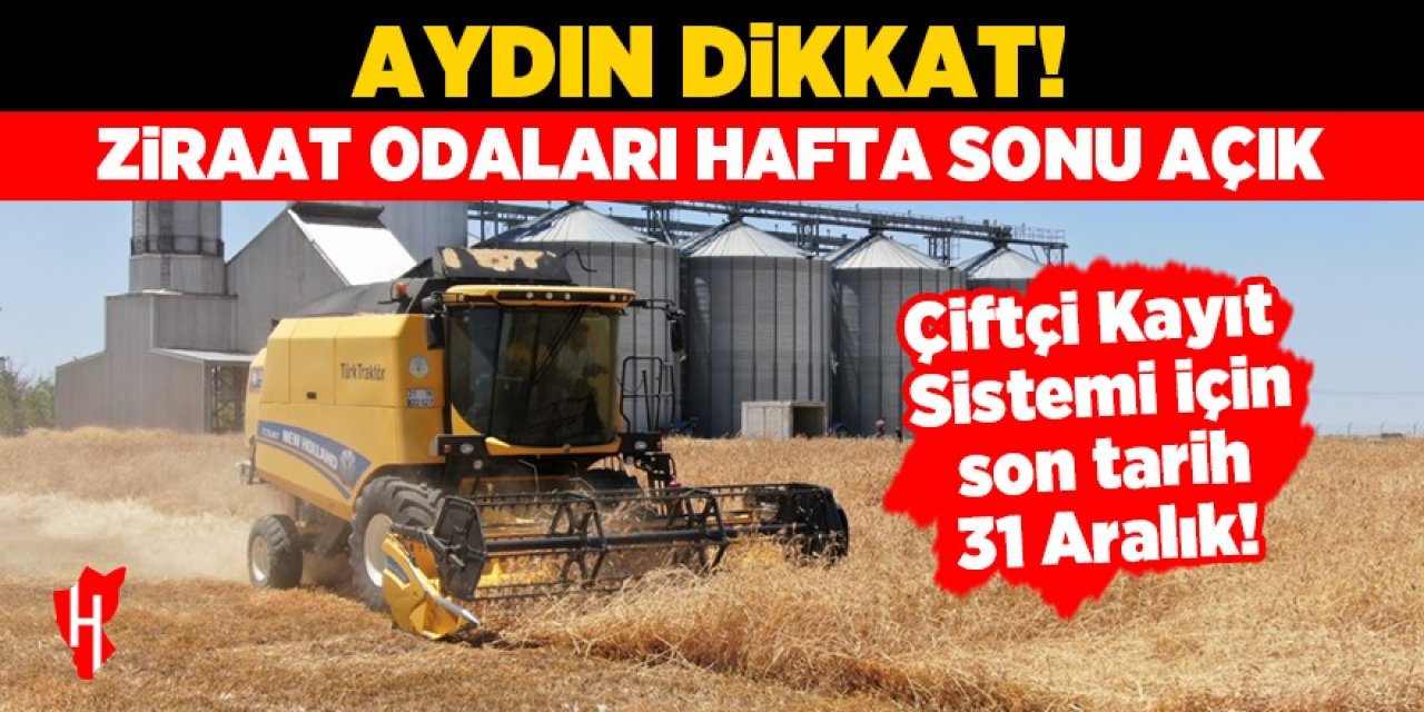 Aydın dikkat! Ziraat odaları hafta sonu açık olacak