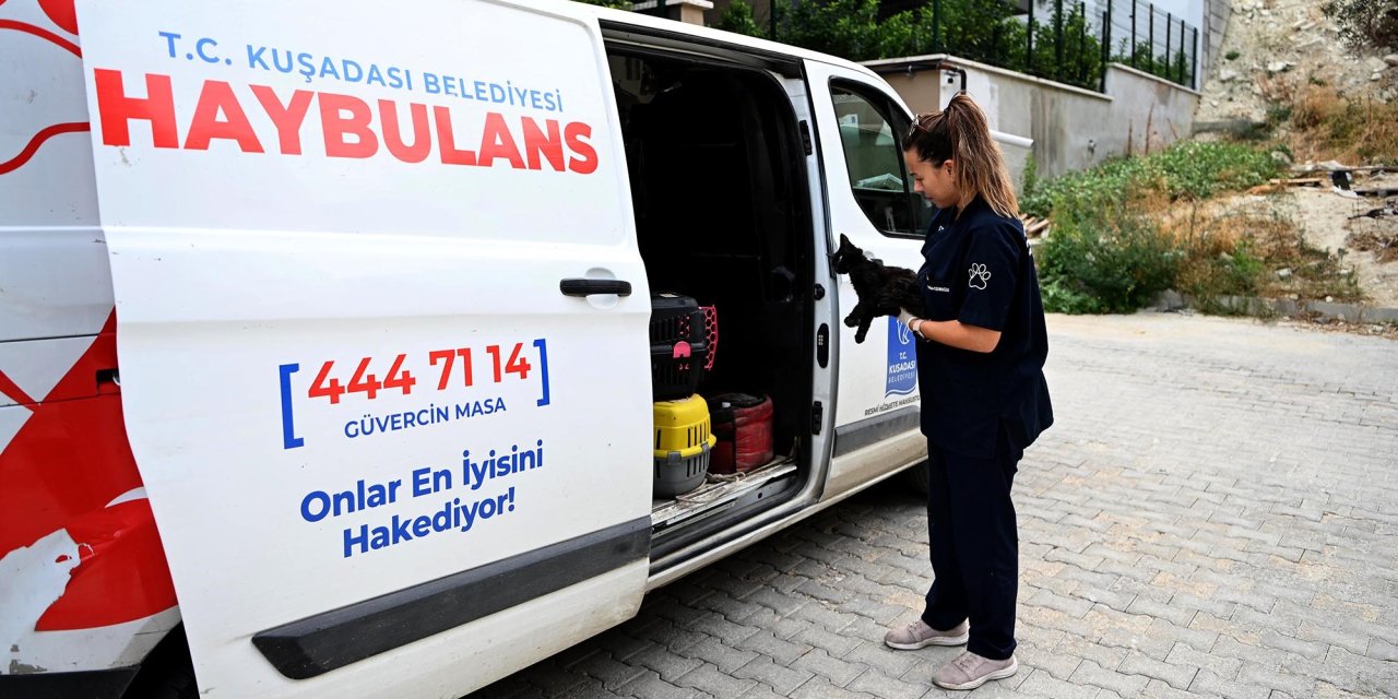 Haybulans ile umut oldular: 2024’te 21 bin sokak hayvanı kurtarıldı