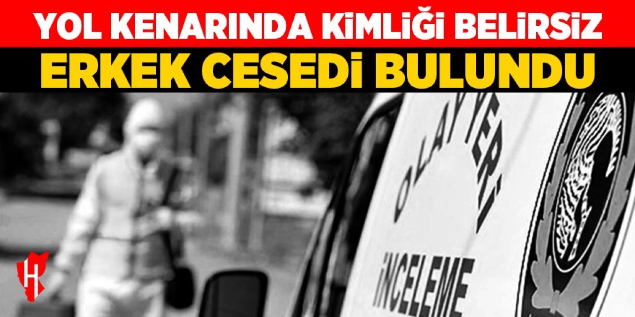 Yol kenarında kimliği belirsiz erkek cesedi bulundu