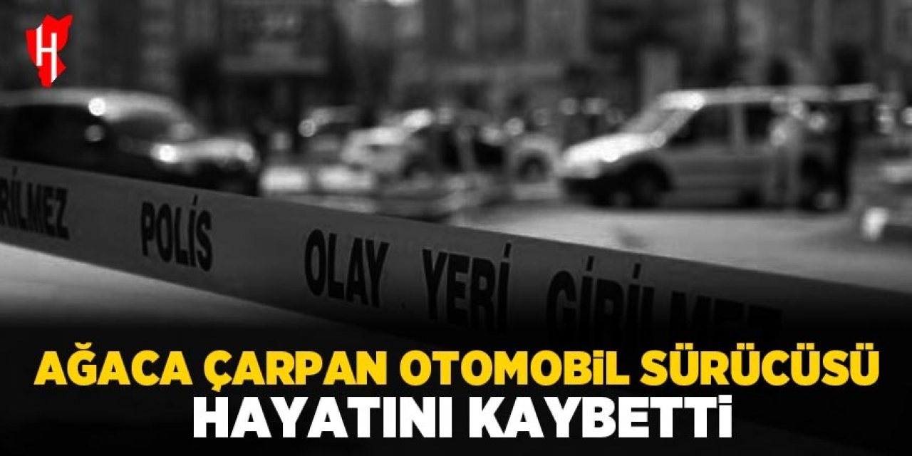 Ağaca çarpan otomobil sürücüsü hayatını kaybetti