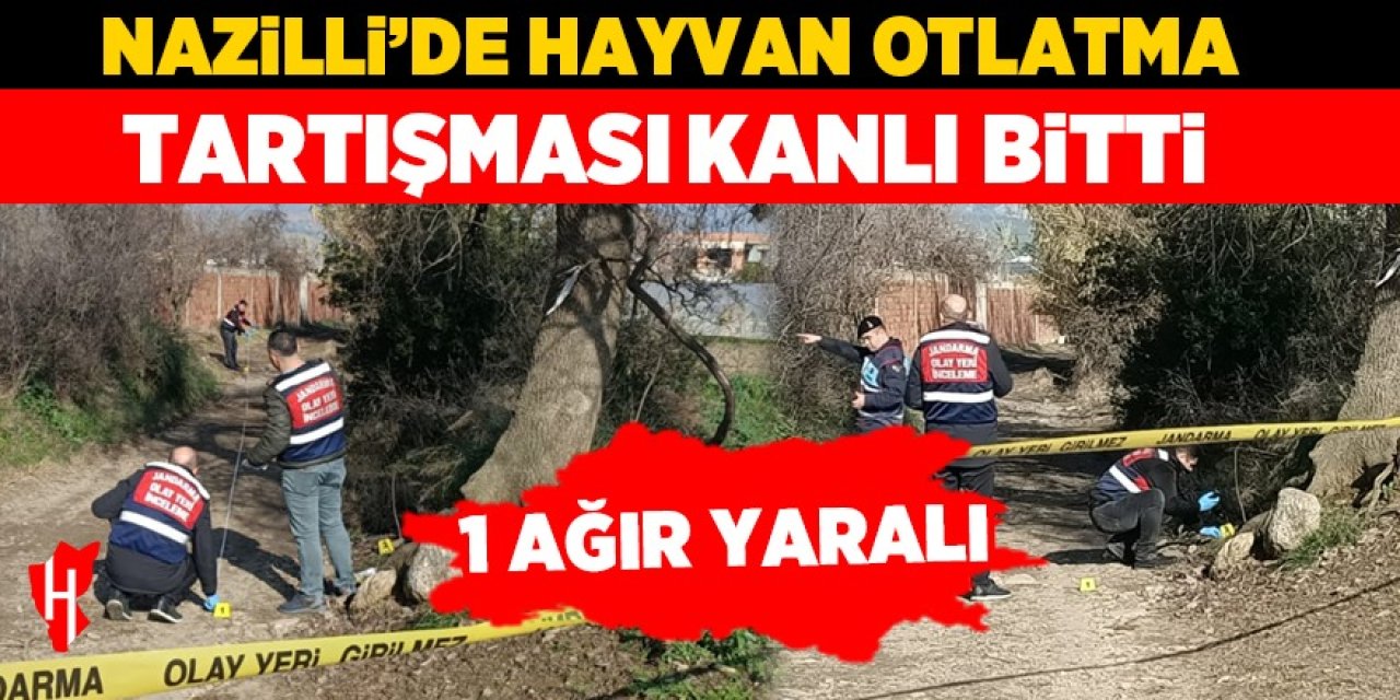 Nazilli’de hayvan otlatma tartışması kanlı bitti: 1 ağır yaralı!