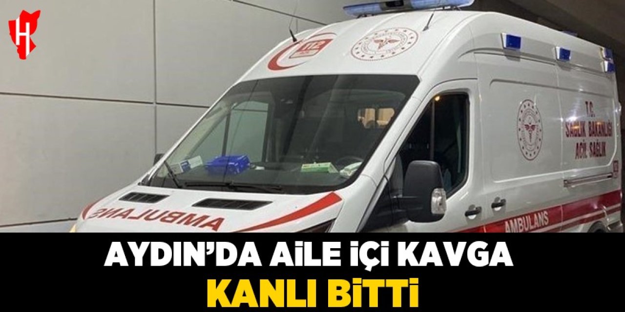 Aydın'da aile içi kavga kanlı bitti: 1 yaralı