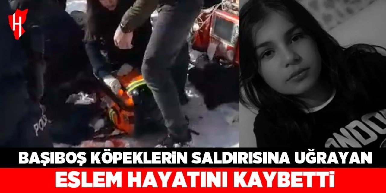 Başıboş köpeklerin saldırdığı 12 yaşındaki Eslem hayatını kaybetti