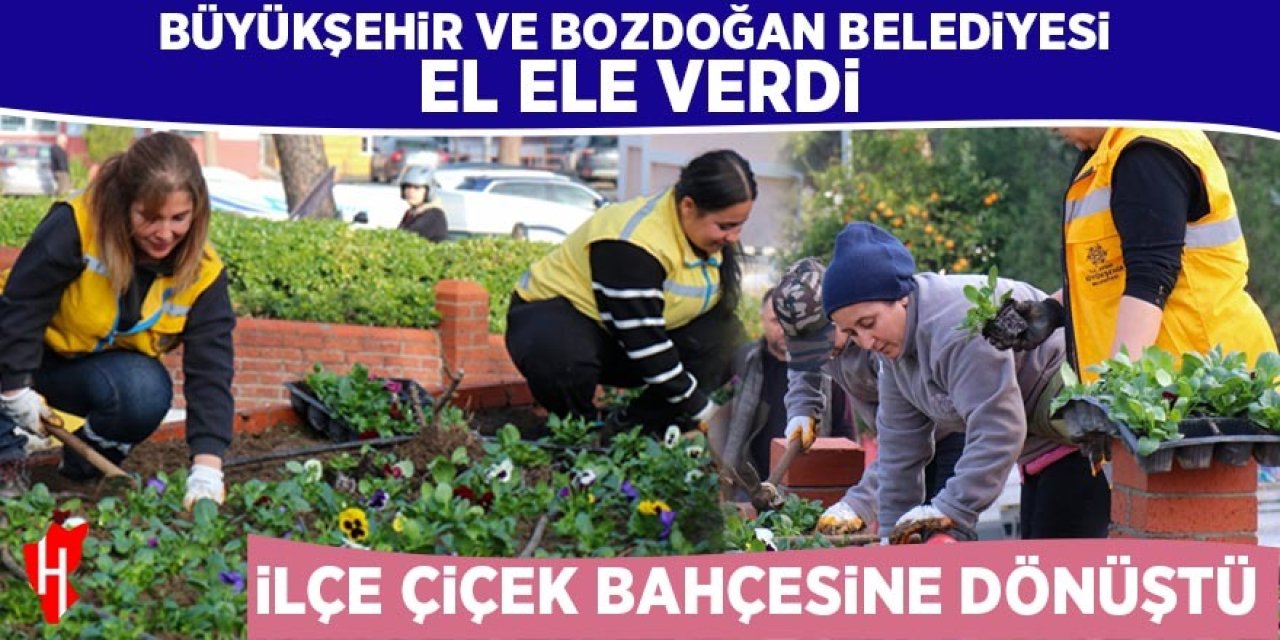 Büyükşehir ve Bozdoğan Belediyesi el ele verdi: Bozdoğan Güzelleşiyor