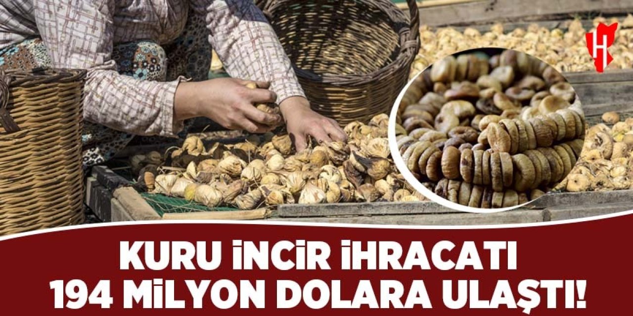 Kuru incir ihracatı 194 milyon dolara ulaştı!