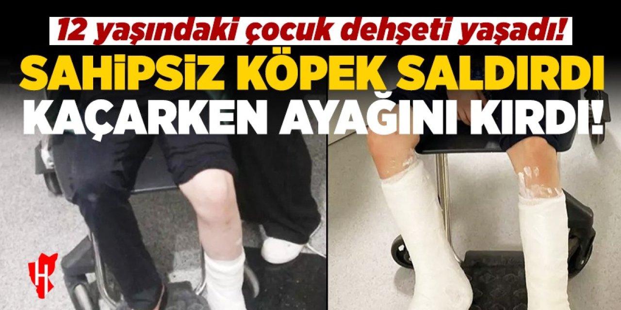 Başıboş köpeklerin saldırısı: 12 yaşındaki çocuk ayağını kırdı