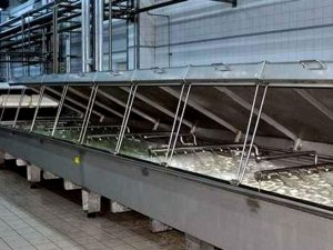 Aydın’da Süt İşleme Tesisleri Artacak