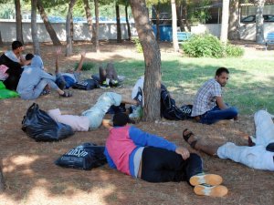 Didim’de 78 Suriyeli Kaçak Yakalandı