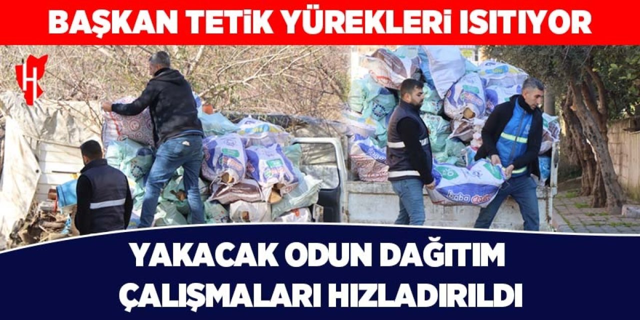 Başkan Tetik yürekleri ısıtıyor: Yakacak odun dağıtımları hızlandırıldı