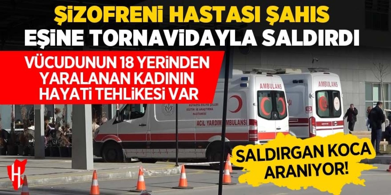 Şizofreni hastası şahıs eşine tornavidayla saldırdı!