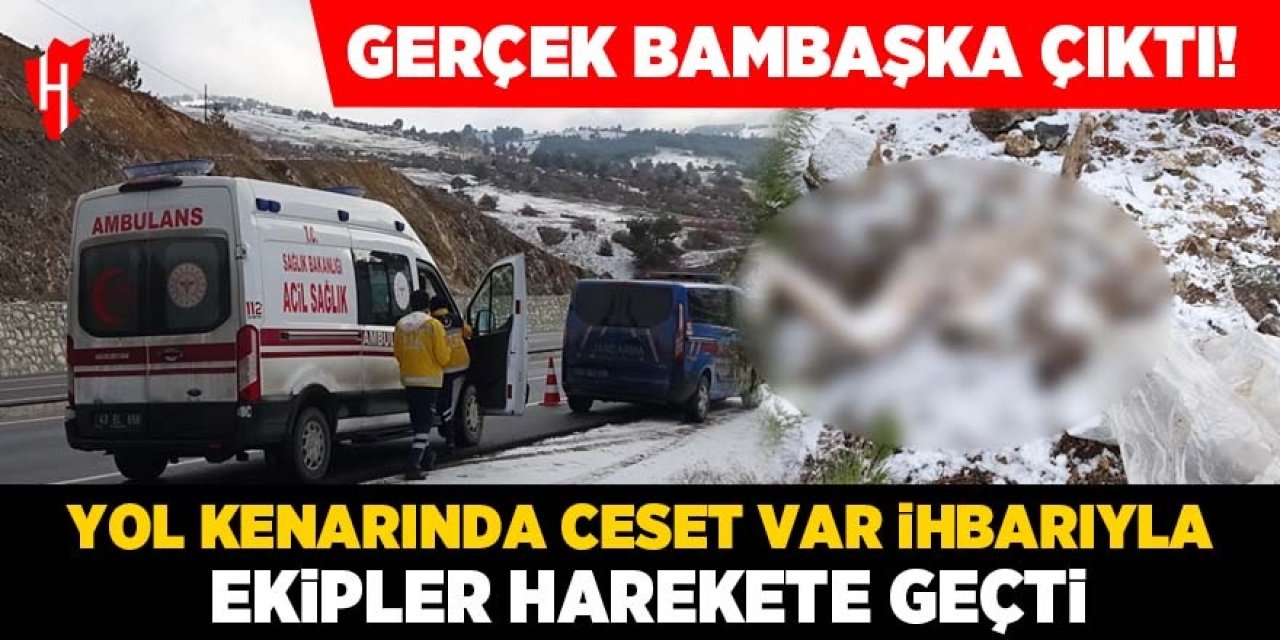 Ceset ihbarıyla olay yerine gittiler: Gerçek bambaşka çıktı!