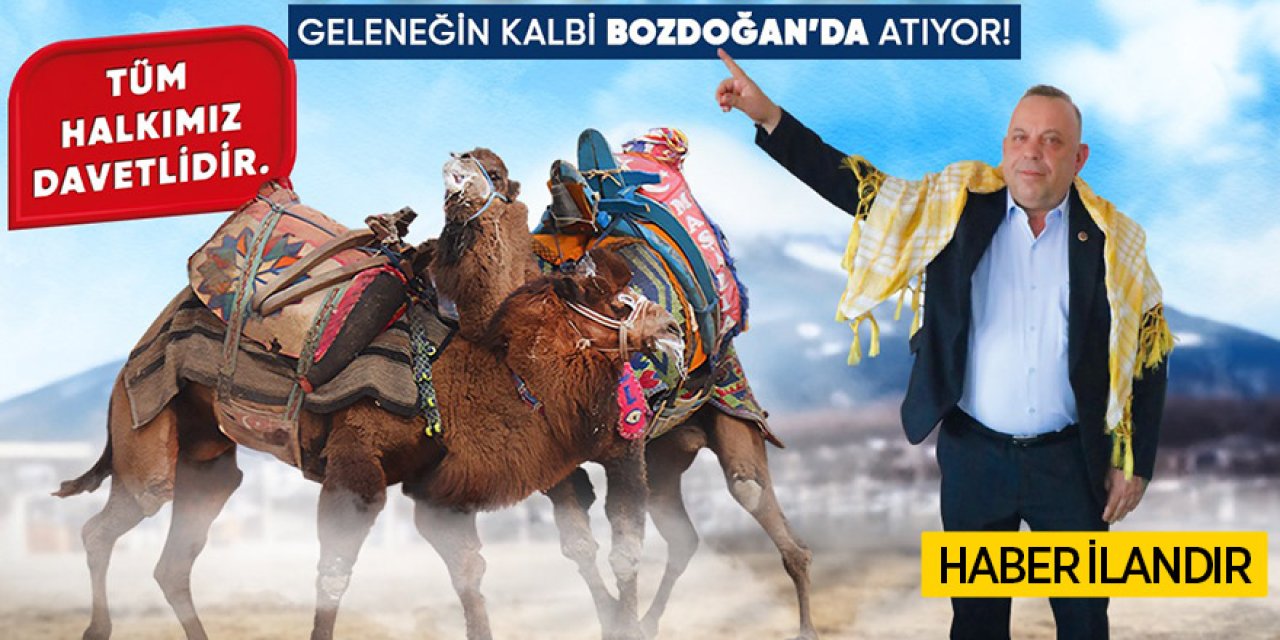 Bozdoğan’da 20. Geleneksel Deve Güreşleri Festivali İçin Geri Sayım Başladı!