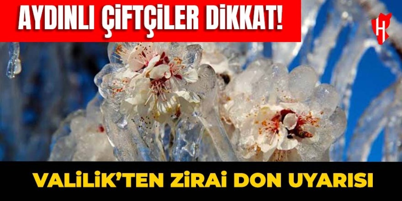 Aydınlı çiftçiler dikkat! Valilikten zirai don uyarısı