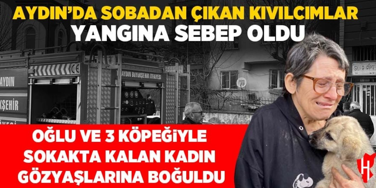 Aydın'da sobadan çıkan kıvılcımlar evi yaktı: Sokakta kalan kadın gözyaşlarına boğuldu