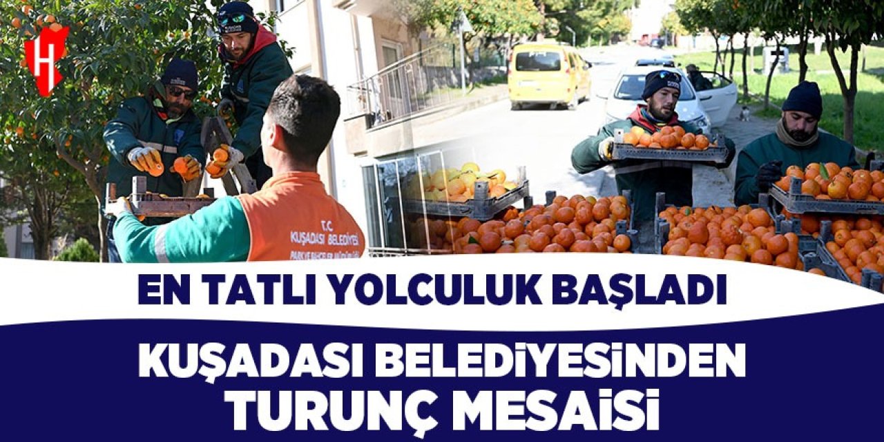 Günde ortalama 150-200 kilogram toplanıyor! En tatlı yolculuk başladı