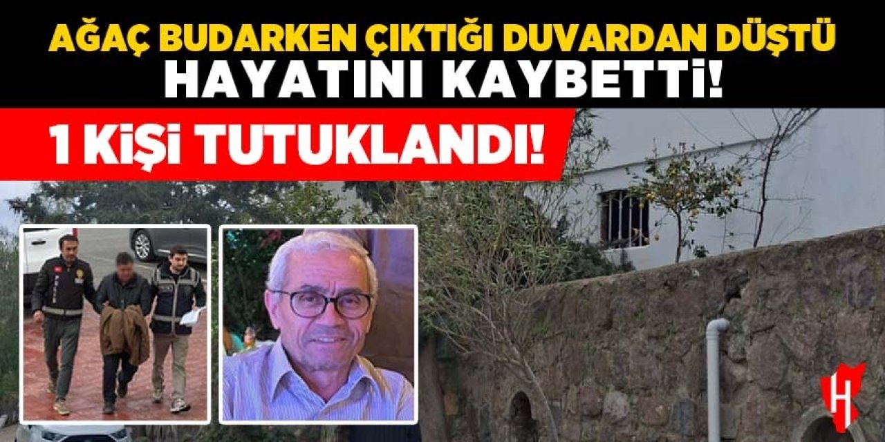 Ağaç budarken çıktığı duvardan düştü, hayatını kaybetti: 1 kişi tutuklandı