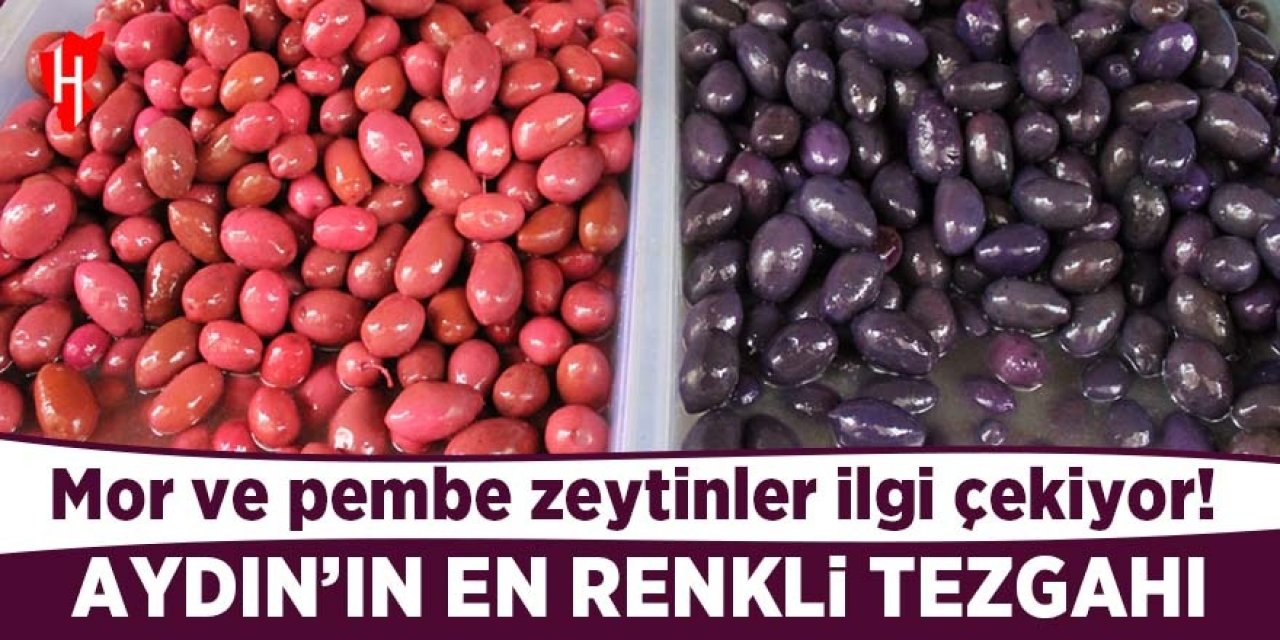 Altı aylık zahmetin ürünü mor ve pembe zeytinler ilgi çekiyor