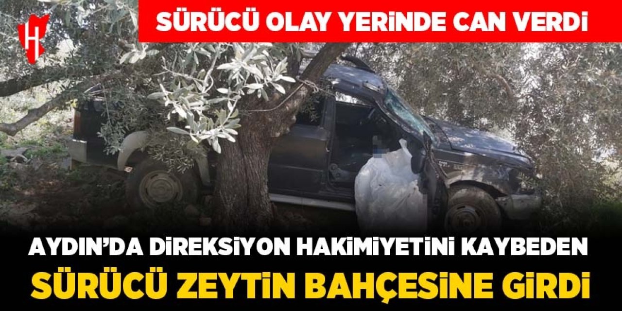 Ticari araç zeytin bahçesine girdi: Sürücü hayatını kaybetti