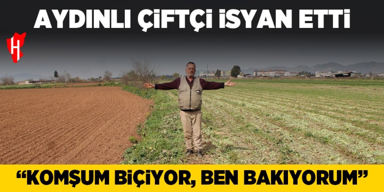 Aydınlı çiftçi isyan etti: "Komşum biçiyor, ben bakıyorum"