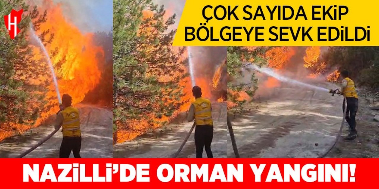 Nazilli'de orman yangını! Çok sayıda ekip bölgeye sevk edildi