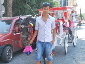 Harçlıklarıyla aldığı atla servet kazanıyor