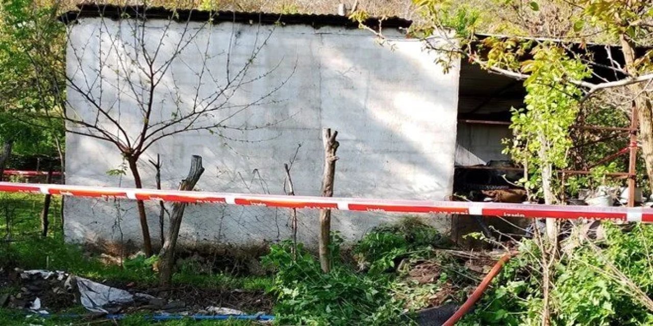 Kardeşleri yangın ayırdı