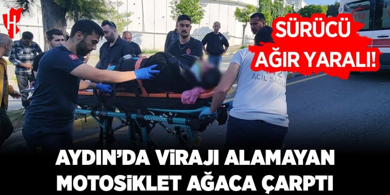 Aydın'da virajı alamayan motosiklet ağaca çarptı: Sürücü ağır yaralı!