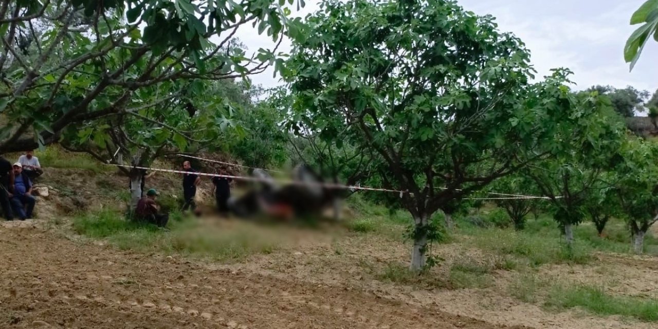 Aydın'da devrilen traktörün altında kalan şahıs hayatını kaybetti