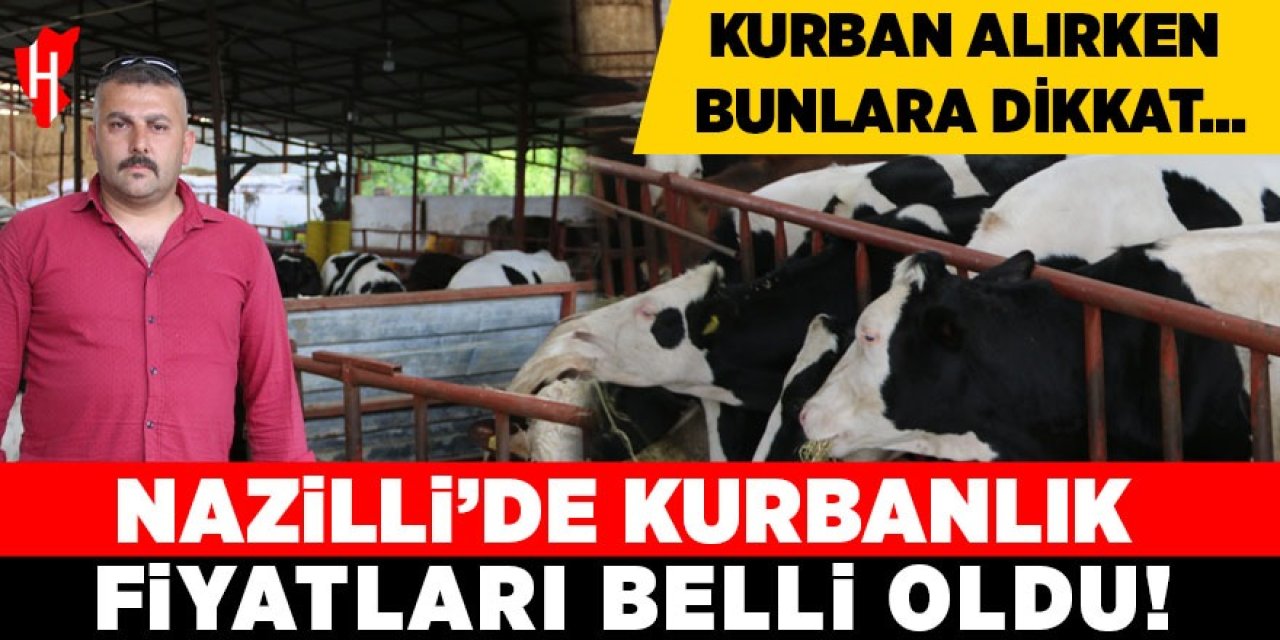 Nazilli'de kurbanlık fiyatları belli oldu: Kurban alırken bunlara dikkat!