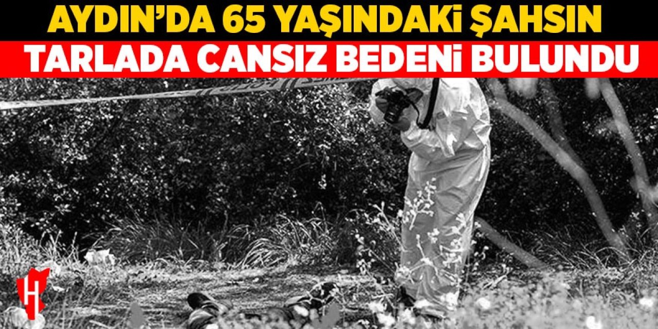 Aydın'da tarlada ceset bulundu