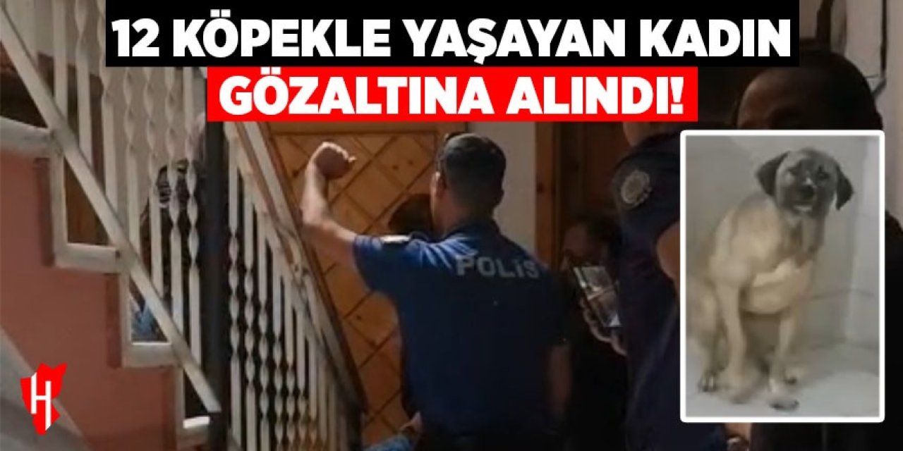 12 köpekle yaşayan kadın gözaltına alındı