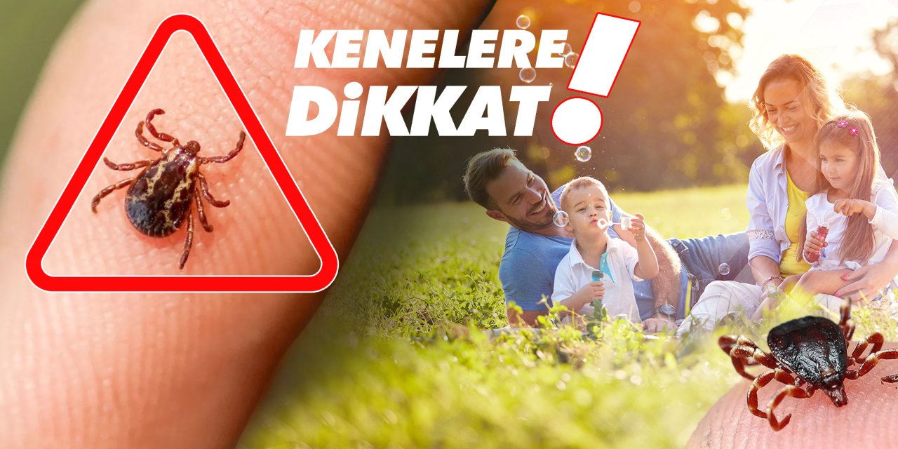 Havaların ısınmasıyla kenelere temas riski arttı!