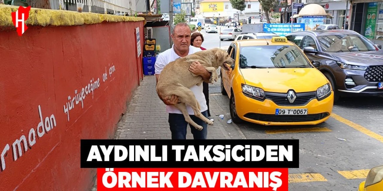 Aydınlı taksiciden örnek davranış