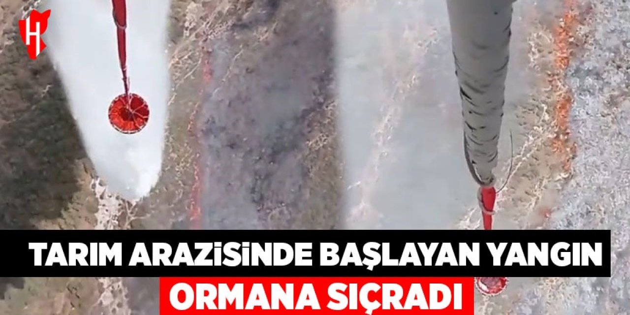 Tarım arazisinde başlayan yangın ormana sıçradı