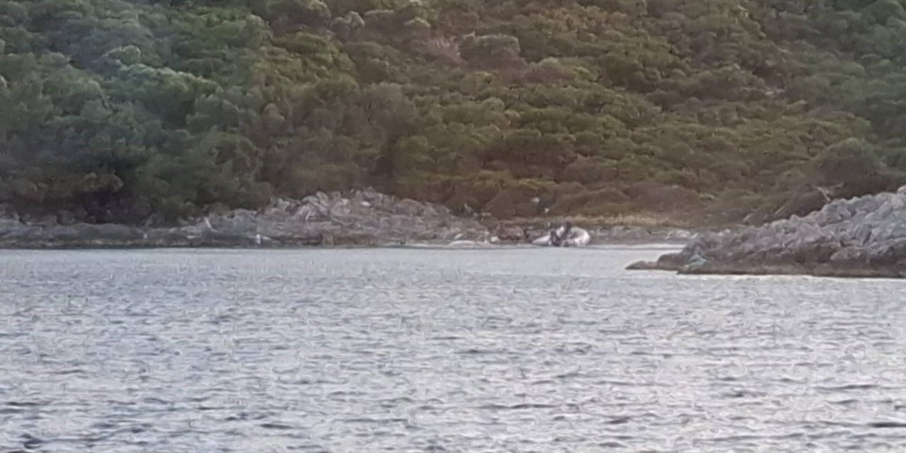 Aydın'da yasak bölgeye zodyak botla gelen 3 şahıs yakalandı