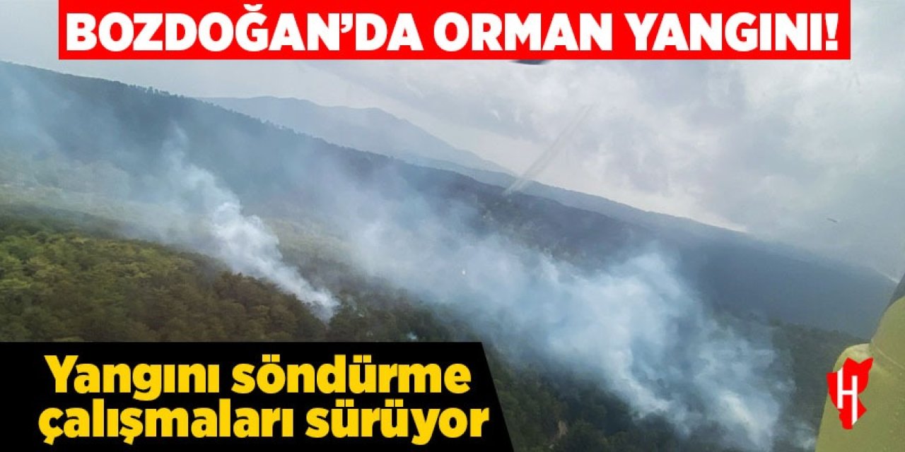 Bozdoğan'da orman yangını: Söndürme çalışmaları sürüyor!