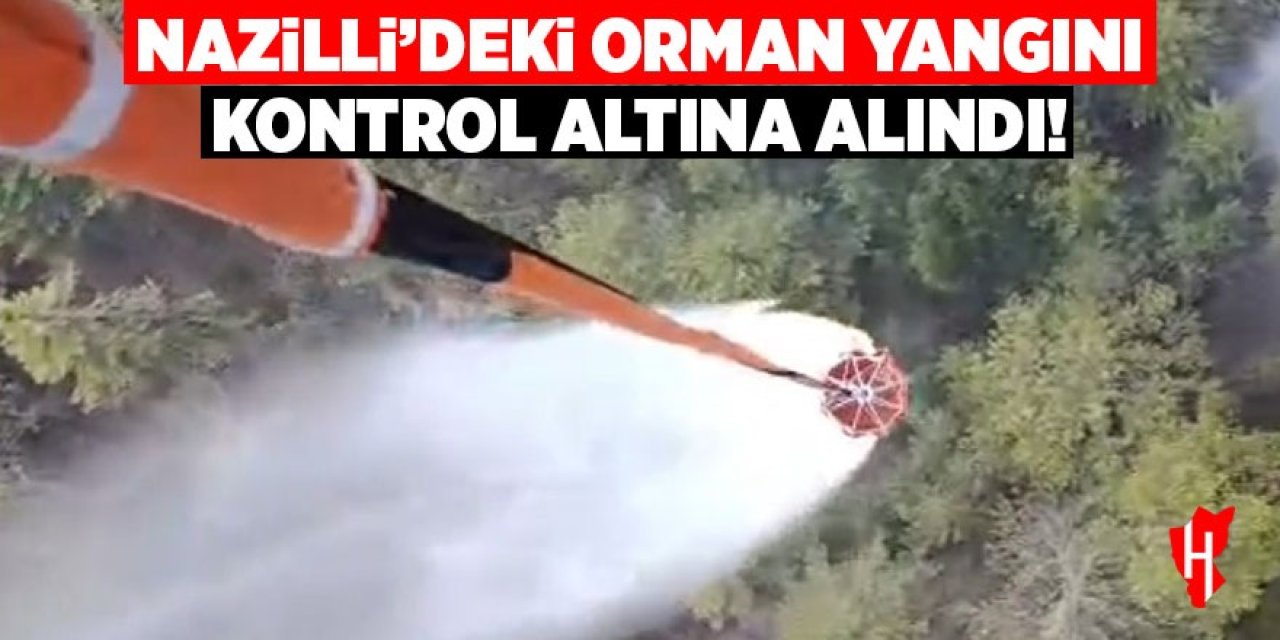 Nazilli'deki orman yangını kontrol altına alındı