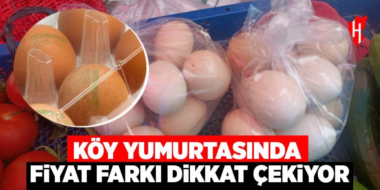 Köy yumurtasında fiyat farkı dikkat çekiyor