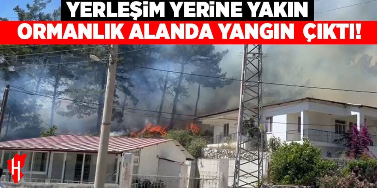 Yerleşim yerine yakın ormanlık alanda yangın çıktı