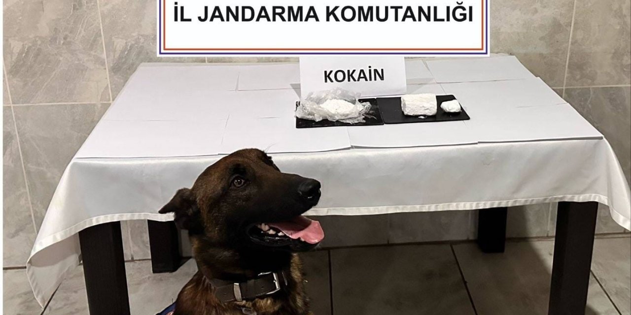 Yolcu otobüsünde 290 gram kokain yakalandı