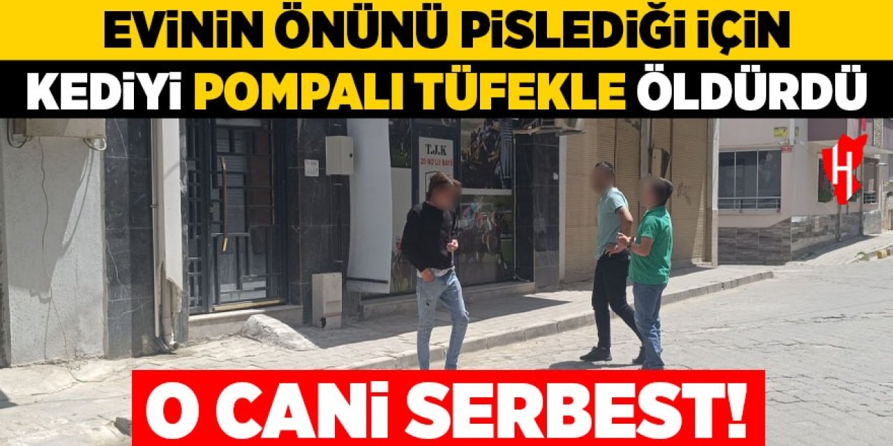 Kediyi pompalı tüfekle öldürmüştü: O cani serbest!