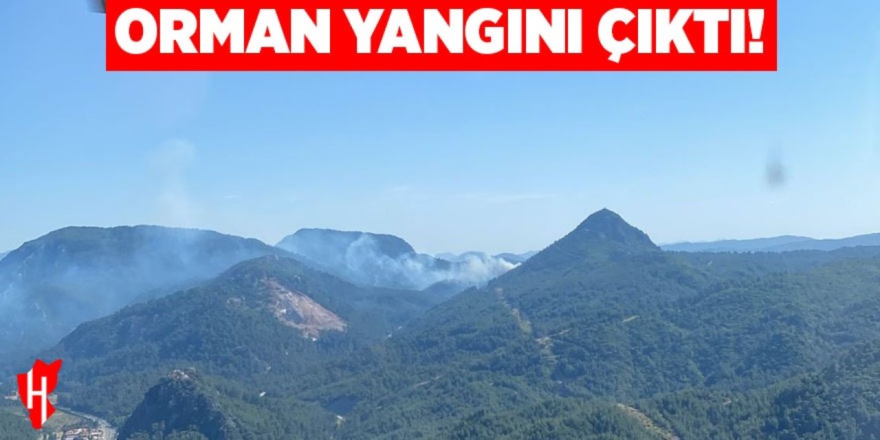 Orman yangını çıktı!