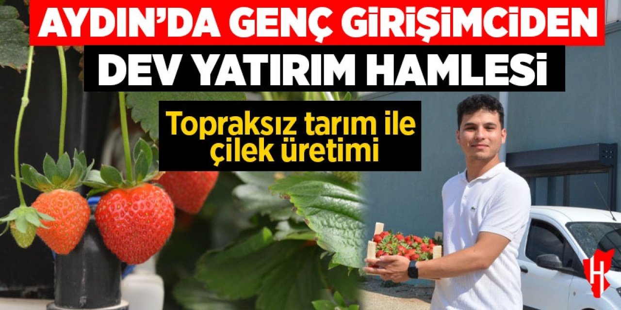 Aydın'da genç girişimciden dev yatırım: Topraksız çilek üretimi