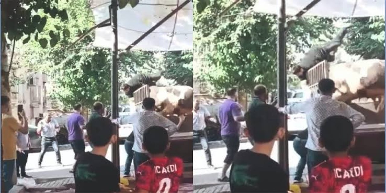Kızgın boğa kasaba hayatının kabusunu yaşattı
