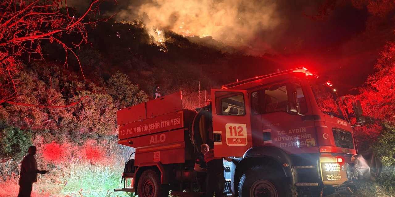 Nazilli'de Orman Yangını Korkuttu: 50 Dönüm Alan Zarar Gördü