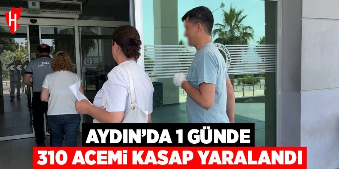 Aydın'da 1 günde 310 acemi kasap yaralandı
