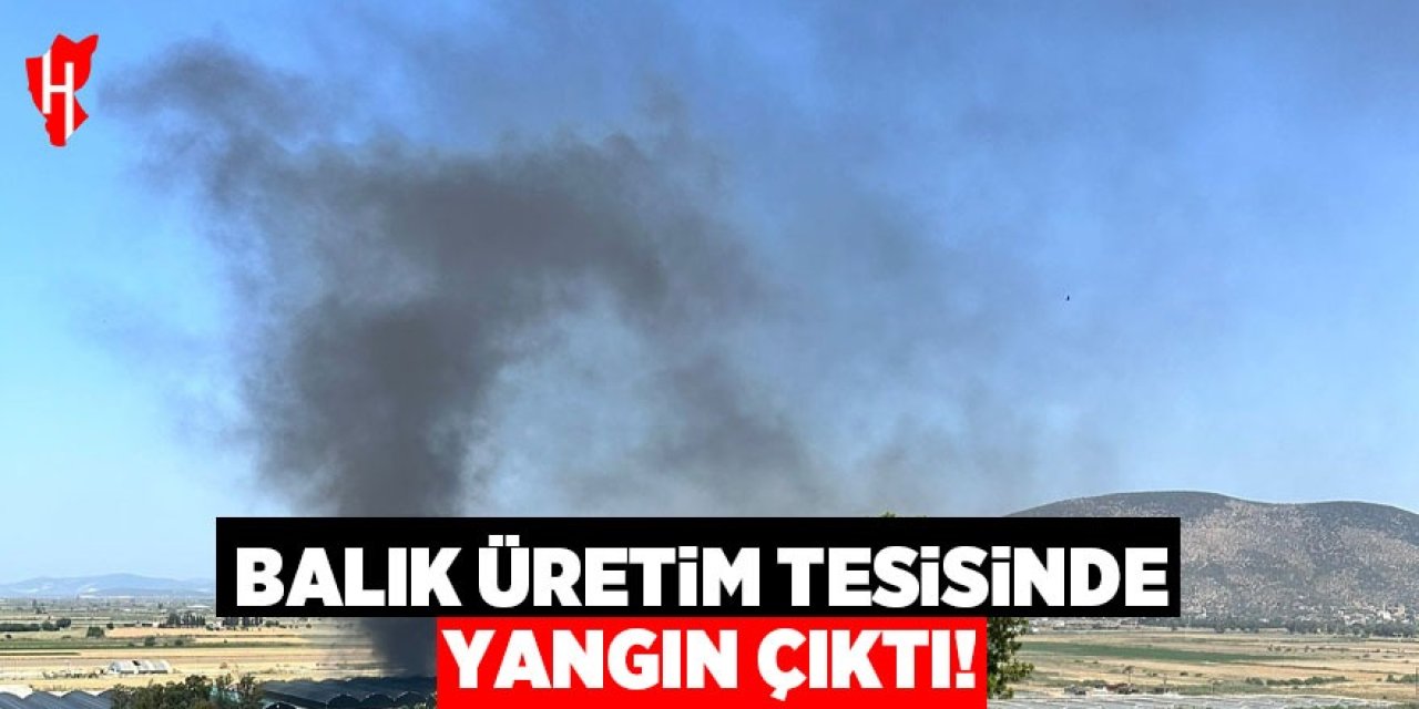 Balık üretim tesisinde yangın!